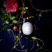 Load image into Gallery viewer, Fleur de I'ile Lumination Candle Sonia Washburn Natural Perfumes