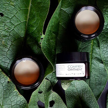 Load image into Gallery viewer, Comfrey Ointment Sonia Washburn