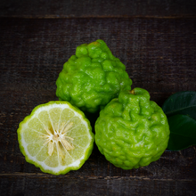 Load image into Gallery viewer, Bergamot, essential oil  Sonia Washburn

