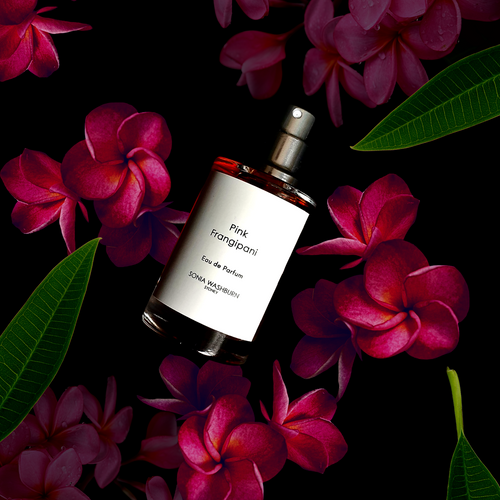 Pink Frangipani. Natural Perfume.  Sonia Washburn