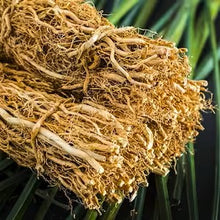 Load image into Gallery viewer, Vetiver, essential oil  Sonia Washburn
