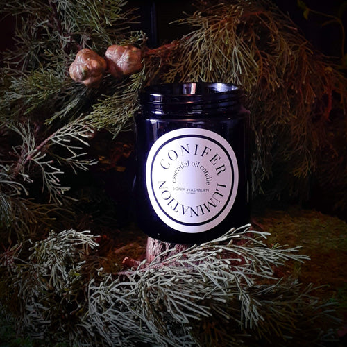 Conifer Lumination Candle  Sonia Washburn Natural Perfumes