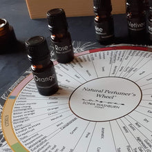 Load image into Gallery viewer, Natural Perfumer&#39;s Wheel
