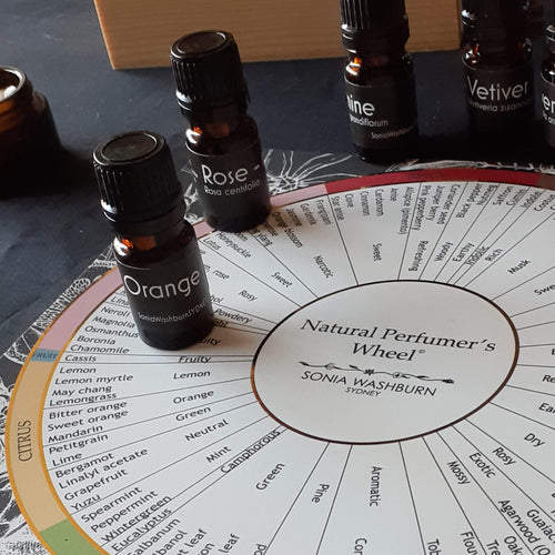 Natural Perfumer's Wheel  Sonia Washburn Natural Perfumes