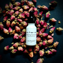 Load image into Gallery viewer, Restoring Facial Oil  Sonia Washburn

